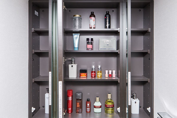 ウラ面収納付き三面鏡 | ブリシア上板橋 |新築分譲マンション