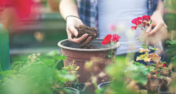 ガーデニング | ブリシア川口｜新築分譲マンション